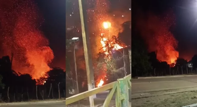 As ocorrências, atendidas pelo Corpo de Bombeiros, mobilizaram equipes de apoio e moradores, mas não houve registro de feridos.