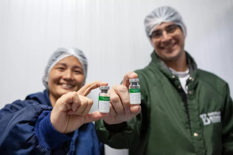 Vacina de dose única da dengue é aprovada. 