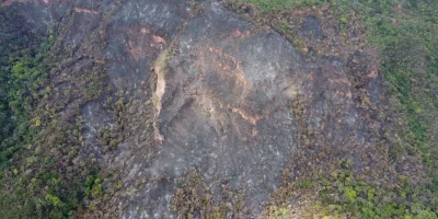 Imagem mostra um trecho de uma vegetação queimada no Ceará.