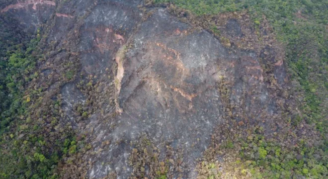 Imagem mostra um trecho de uma vegetação queimada no Ceará.