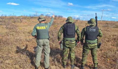 Atuação do Ibama em Crateús intercepta caça ilegal.
