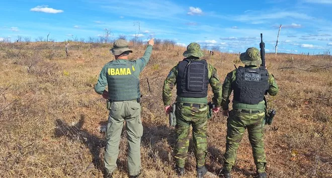 Atuação do Ibama em Crateús intercepta caça ilegal.