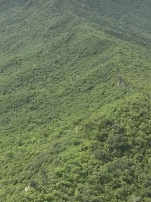 Área de Proteção Ambiental (APA) Serras de Irauçuba
