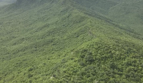 Área de Proteção Ambiental (APA) Serras de Irauçuba