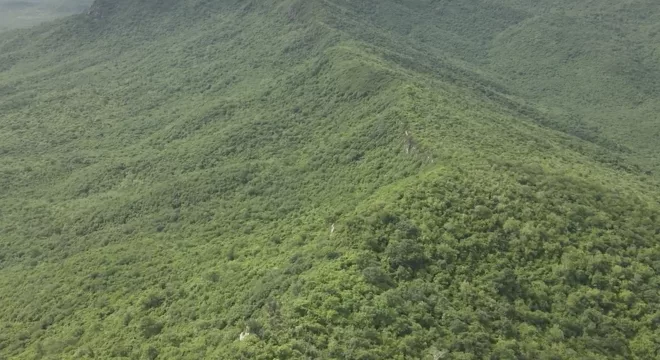 Área de Proteção Ambiental (APA) Serras de Irauçuba