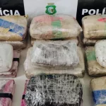 Droga apreendida em Várzea Alegre.