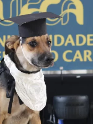 Cadela "Cachorra", fotografa em frente ao painel dos formandos na UFCA.