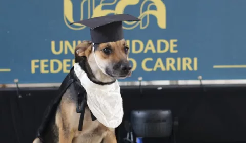 Cadela "Cachorra", fotografa em frente ao painel dos formandos na UFCA.