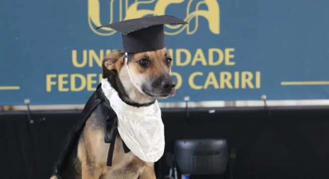 Cadela "Cachorra", fotografa em frente ao painel dos formandos na UFCA.