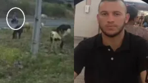 Motociclista morre após colidir com cavalo na CE-187 entre Novo Oriente e Crateús