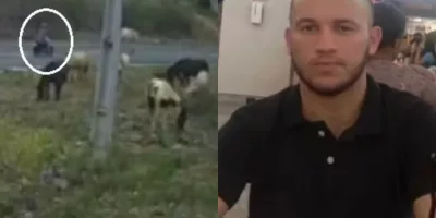 Motociclista morre após colidir com cavalo na CE-187 entre Novo Oriente e Crateús