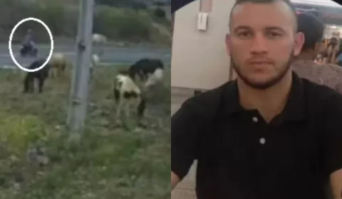 Motociclista morre após colidir com cavalo na CE-187 entre Novo Oriente e Crateús