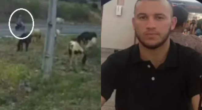 Motociclista morre após colidir com cavalo na CE-187 entre Novo Oriente e Crateús