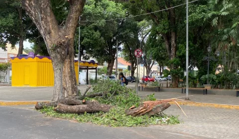 Galhos caídos na Praça da Sé, no Crato.