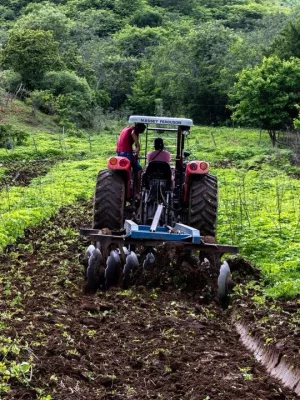 , o programa terá o limite de hectares elevado de 2 para 3 por beneficiário