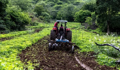 , o programa terá o limite de hectares elevado de 2 para 3 por beneficiário