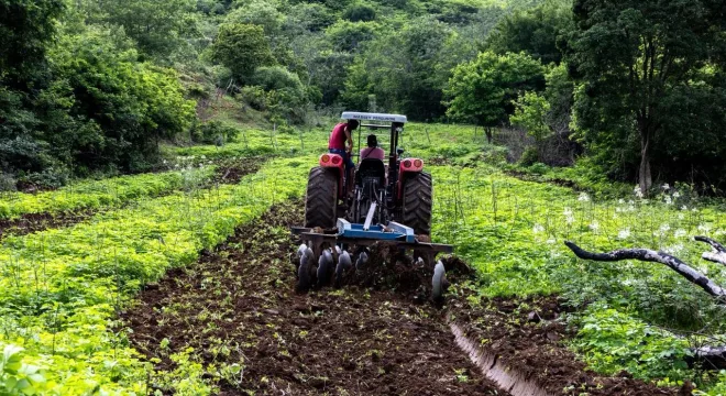 , o programa terá o limite de hectares elevado de 2 para 3 por beneficiário