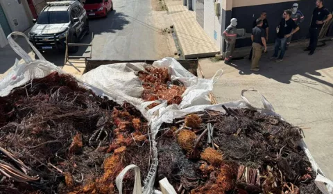 Fios de cobre e alumínio ilícitos em Juazeiro do Norte.