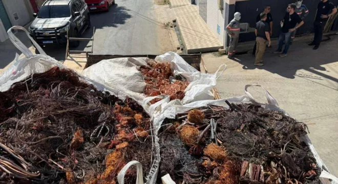 Fios de cobre e alumínio ilícitos em Juazeiro do Norte.