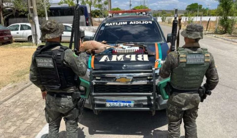 A ação policial resultou em uma arma e um veado catingueiro abatido, em Milagres.