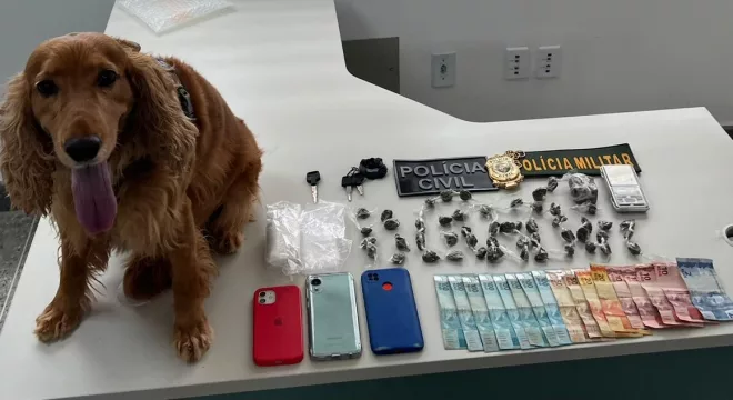Cão farejador da Polícia Civil auxiliou na localização de entorpecentes e materiais relacionados ao tráfico de drogas,