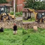 O resgate durou mais de 20 minutos e foi registrado em uma transmissão ao vivo nas redes sociais.