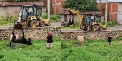 O resgate durou mais de 20 minutos e foi registrado em uma transmissão ao vivo nas redes sociais.