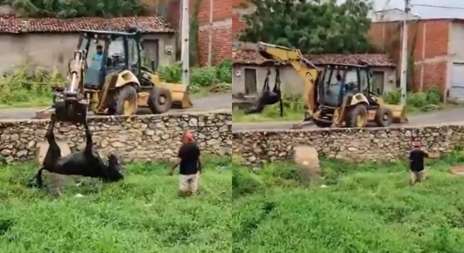 O resgate durou mais de 20 minutos e foi registrado em uma transmissão ao vivo nas redes sociais.