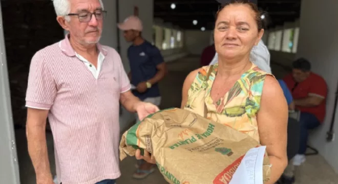 Sementes Hora de Plantar Crato