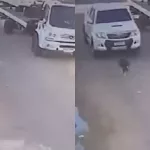 Cachorro é atropelado em Juazeiro do Norte