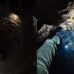 Animal resgatado de poço de 10 metros em Juazeiro do Norte.