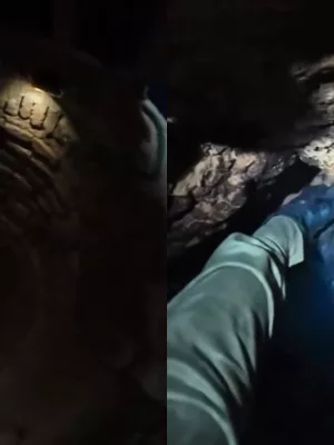 Animal resgatado de poço de 10 metros em Juazeiro do Norte.