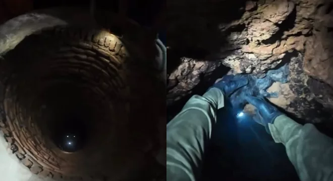 Animal resgatado de poço de 10 metros em Juazeiro do Norte.