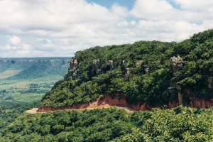 Ladeira das tabocas, em Exu -PE. Parte da Chapada do Araripe.