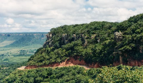 Ladeira das tabocas, em Exu -PE. Parte da Chapada do Araripe.