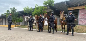 PMCE resgata três cães em residência em chamas no muncípio do Crato