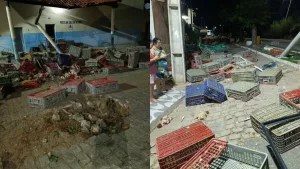 Um poste e uma placa de sinalização foram atingidos pelo caminhão em Jati.