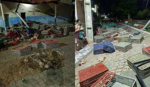 Um poste e uma placa de sinalização foram atingidos pelo caminhão em Jati.