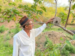 Cícero Leite, Profeta da Chuva