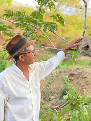 Cícero Leite, Profeta da Chuva