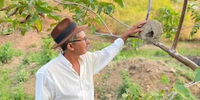 Cícero Leite, Profeta da Chuva