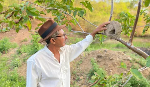 Cícero Leite, Profeta da Chuva