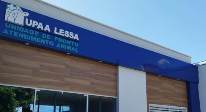 Animal foi levado para a UPA Lessa, onde está internado em estado grave