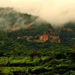 Chapada do Araripe