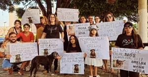 Manifestação Cão Orelha em Juazeiro do Norte