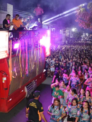 Carnaval Várzea Alegre