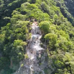 floresta nacional do araripe / flona araripe