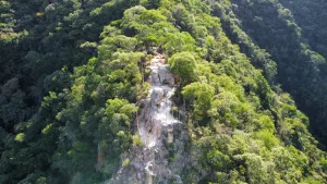 floresta nacional do araripe / flona araripe