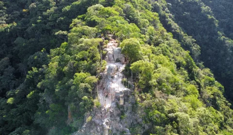 floresta nacional do araripe / flona araripe