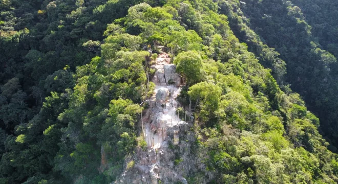 floresta nacional do araripe / flona araripe